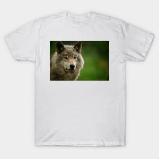 Gray Wolf T-Shirt